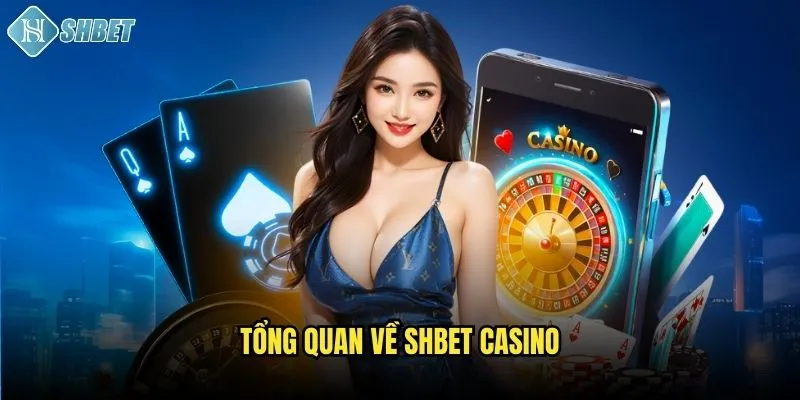 Tổng quan về Shbet casino