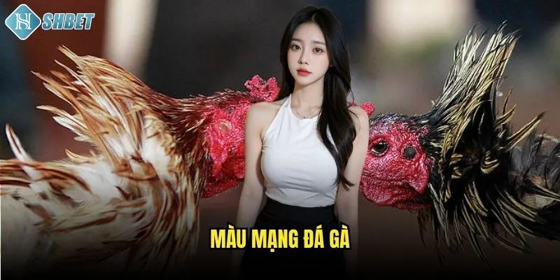 Màu Mạng Đá Gà